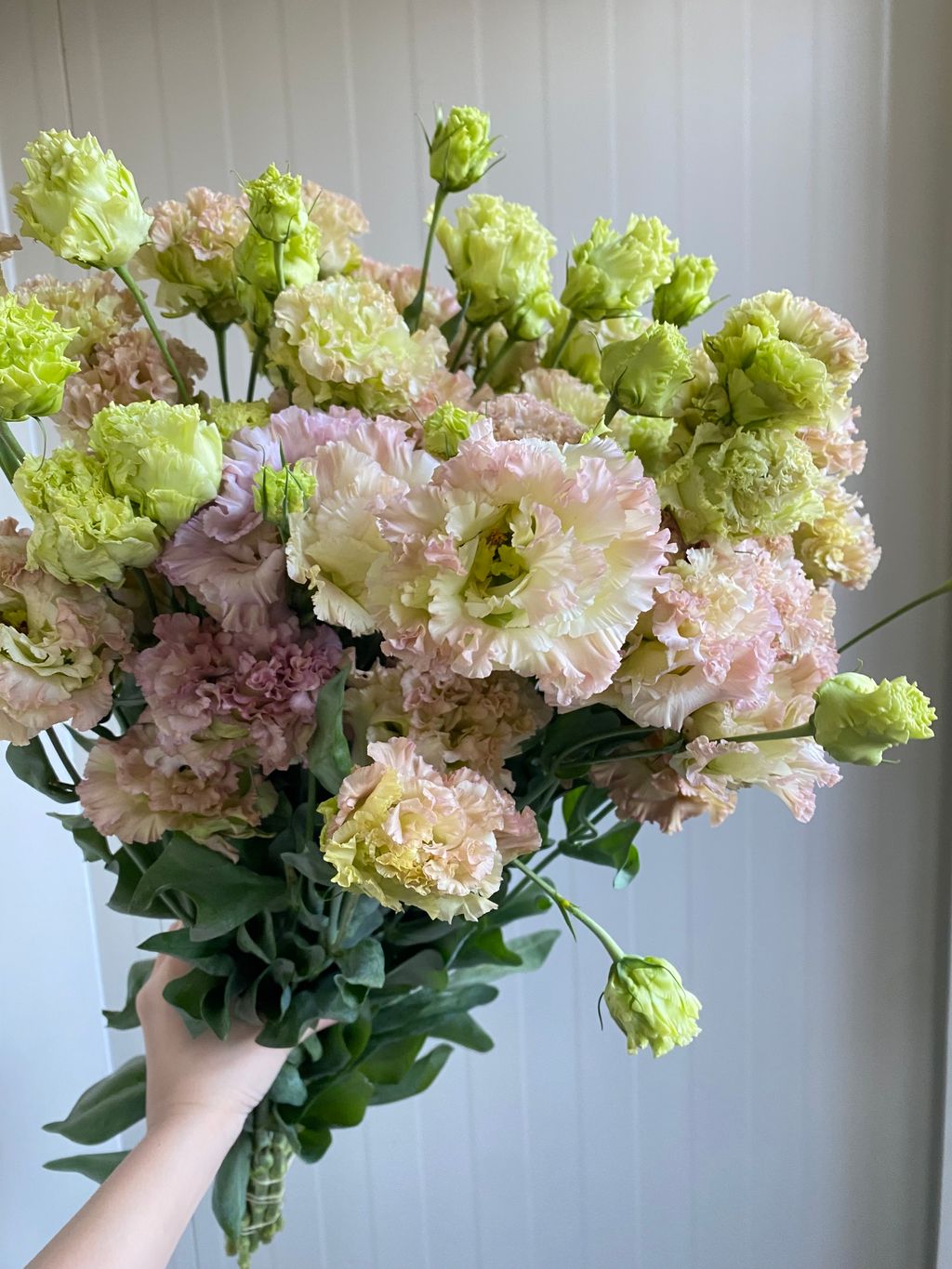 image_3E2EBED8-A175-4CDD-A2AF-64CC41AD278E_1777373201