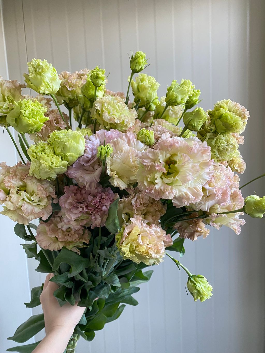 image_907EEB17-BF2A-4B23-B6A7-19E750C37264_1777373201