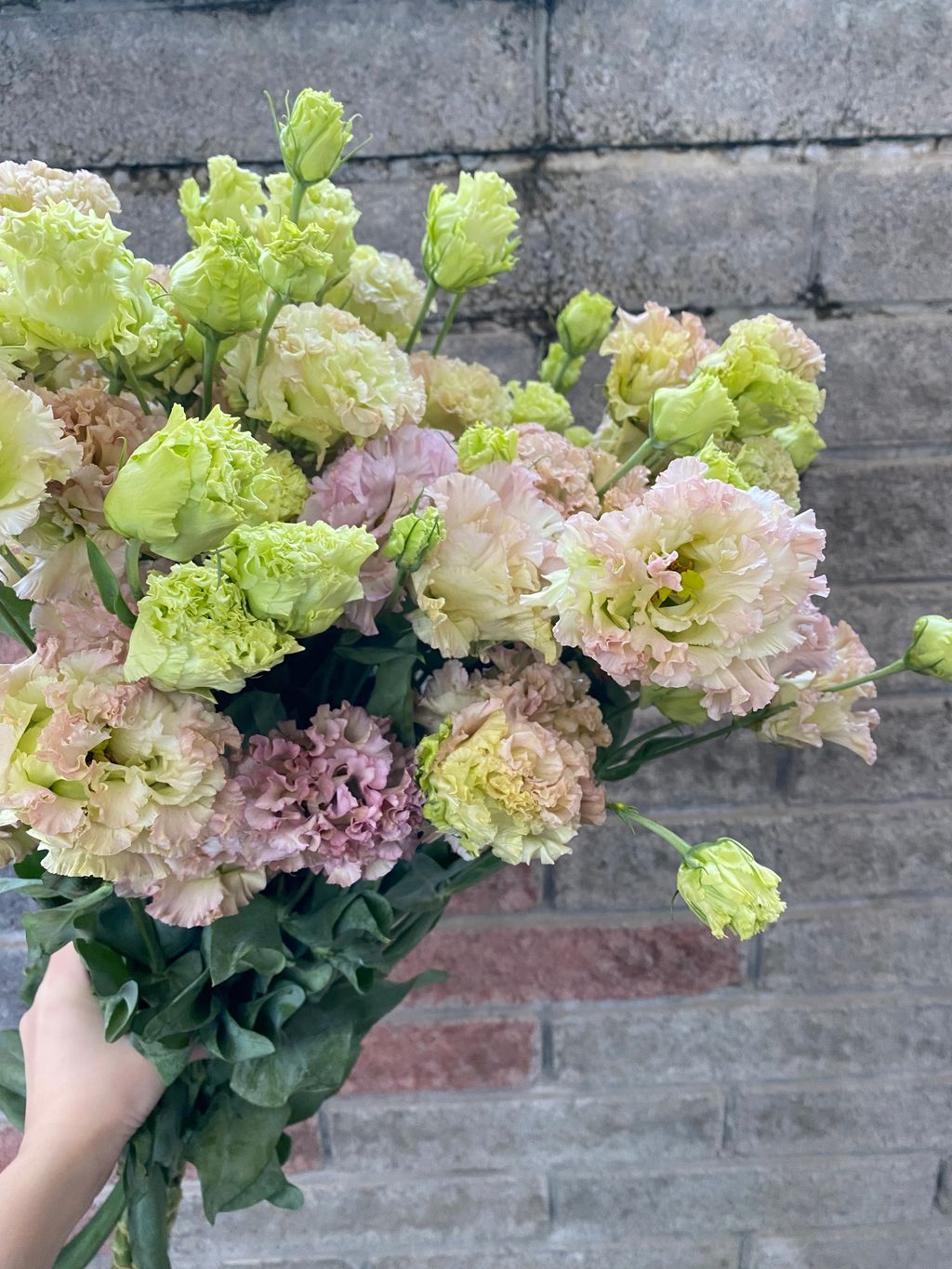 image_FEB4E298-1893-43A7-99CA-AC4633A5F7DC_1777373202