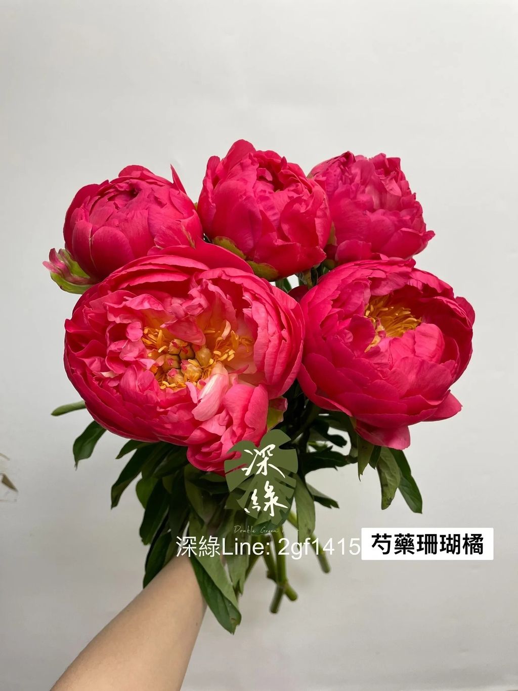 messageImage_1777405866384