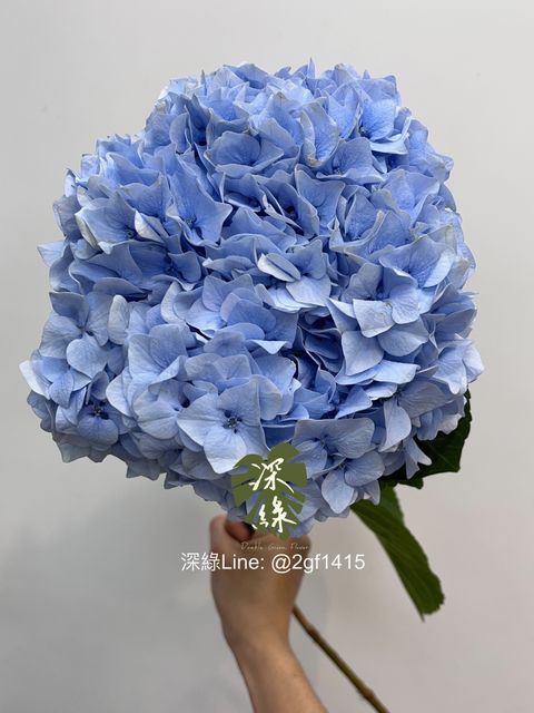 image_D814C84E-8411-4FF7-924B-E407037B49BC_1745912085