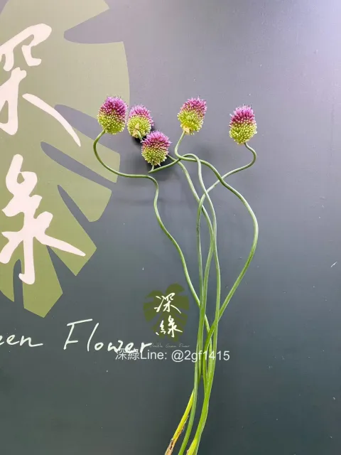 S__35897353