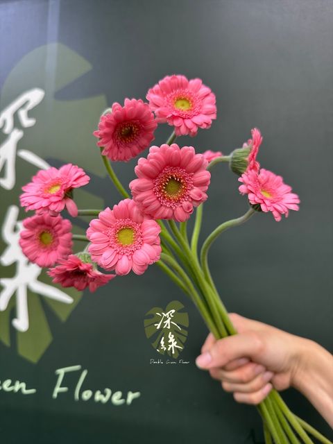 image_DB6502E9-9E9E-4503-A311-7E2ECE467409_1778133850