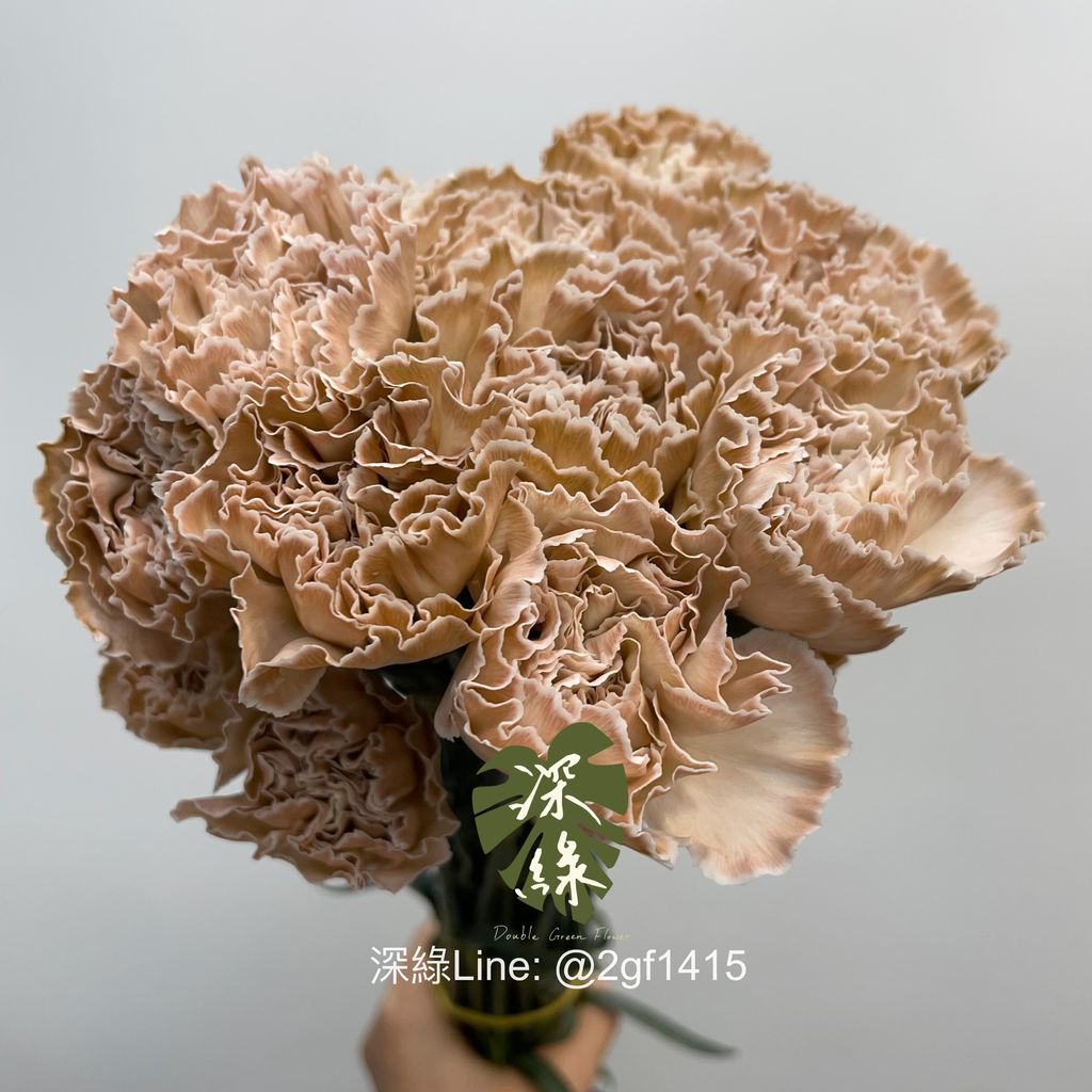 image_0191948C-6E97-4498-ACC6-FB5D25B609C2_1778136374