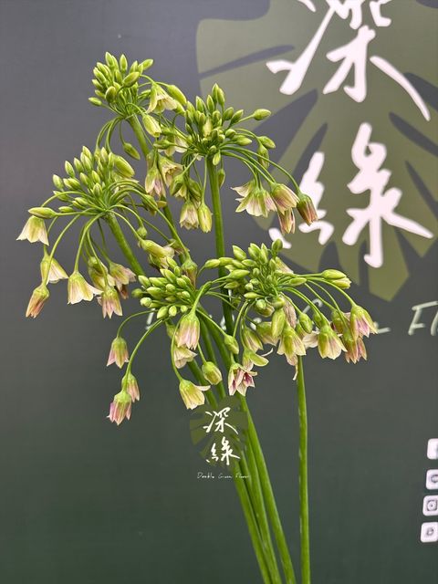 image_2FF02B72-E820-437B-9C6A-32A2F688B9FD_1778476706