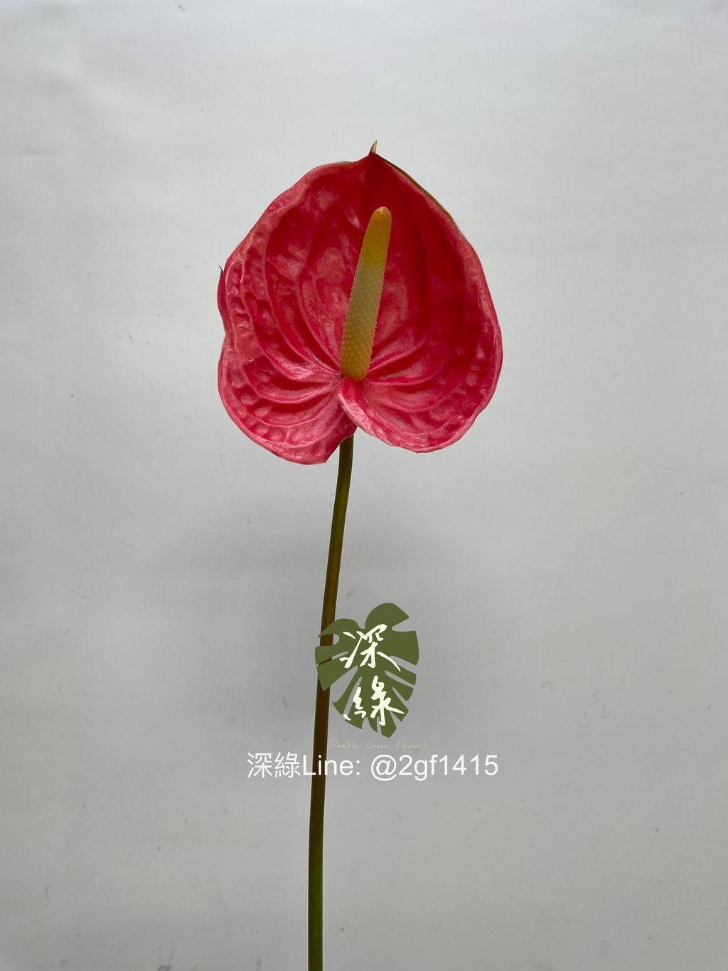 eZy Watermark_05-07-2024_12-00-52-1860下午-1720152068863