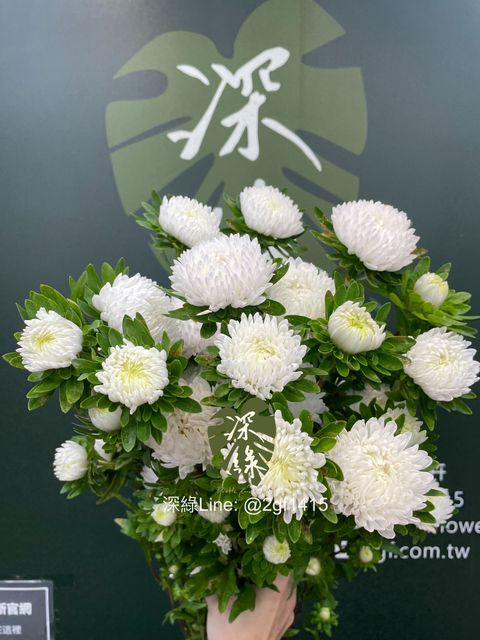 image_655A1D8B-9618-4F7A-A73C-1491EB3AC17C_1778551127