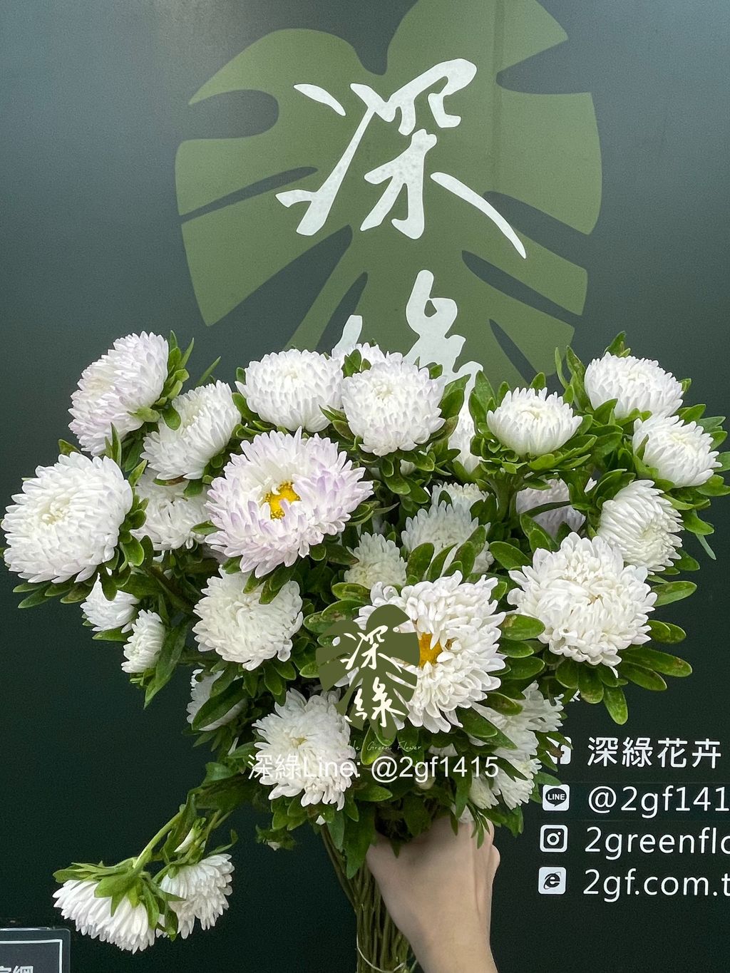 image_A7365F75-158E-4E11-BE17-9B1BDBF791B8_1778551153