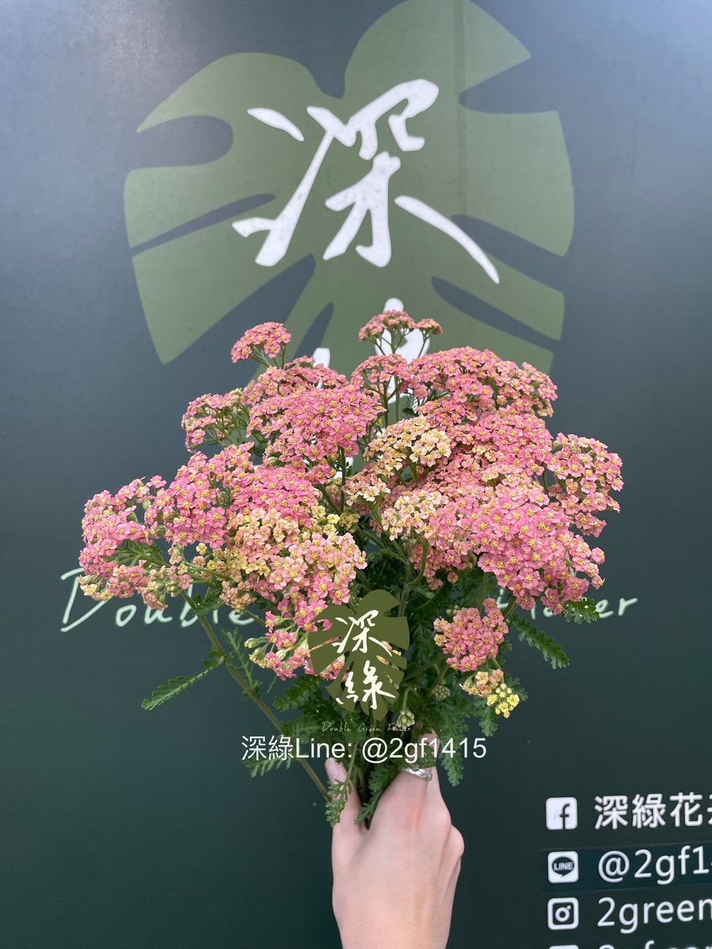 image_738ABFB1-9468-431C-9B1E-BA4AA0F83989_1778552437