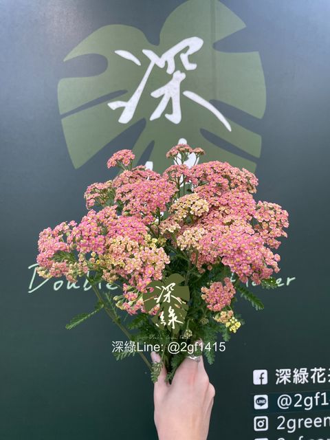 image_738ABFB1-9468-431C-9B1E-BA4AA0F83989_1778552437