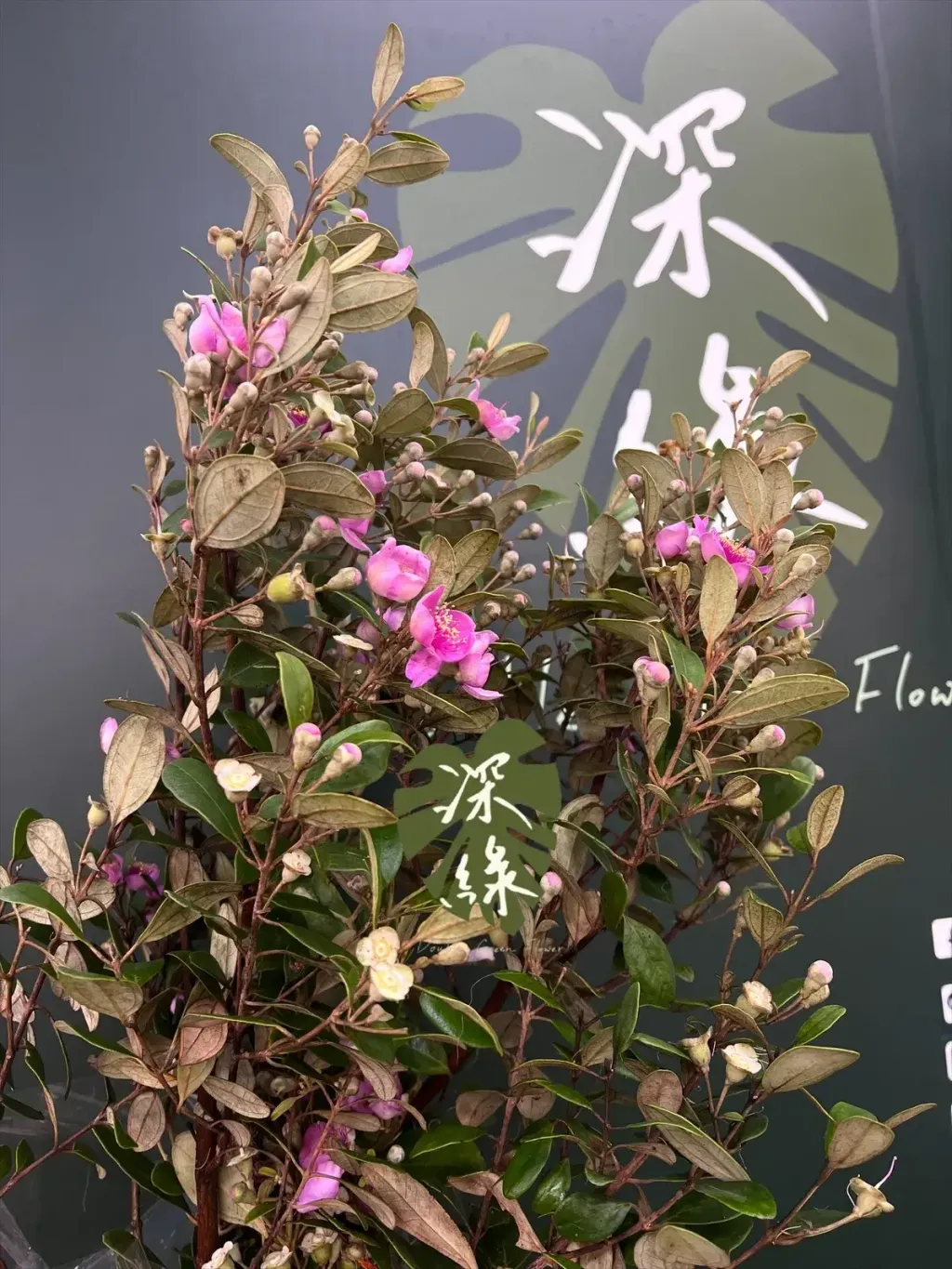 image_D0044AD0-68DA-42D7-8364-AF5DEBC2F7A2_1778464444