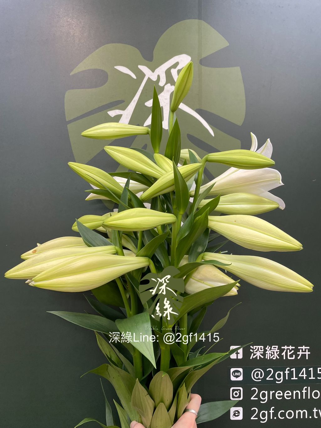 image_B6672D7C-044A-4A58-84D2-91A3D6FD5A12_1778637813