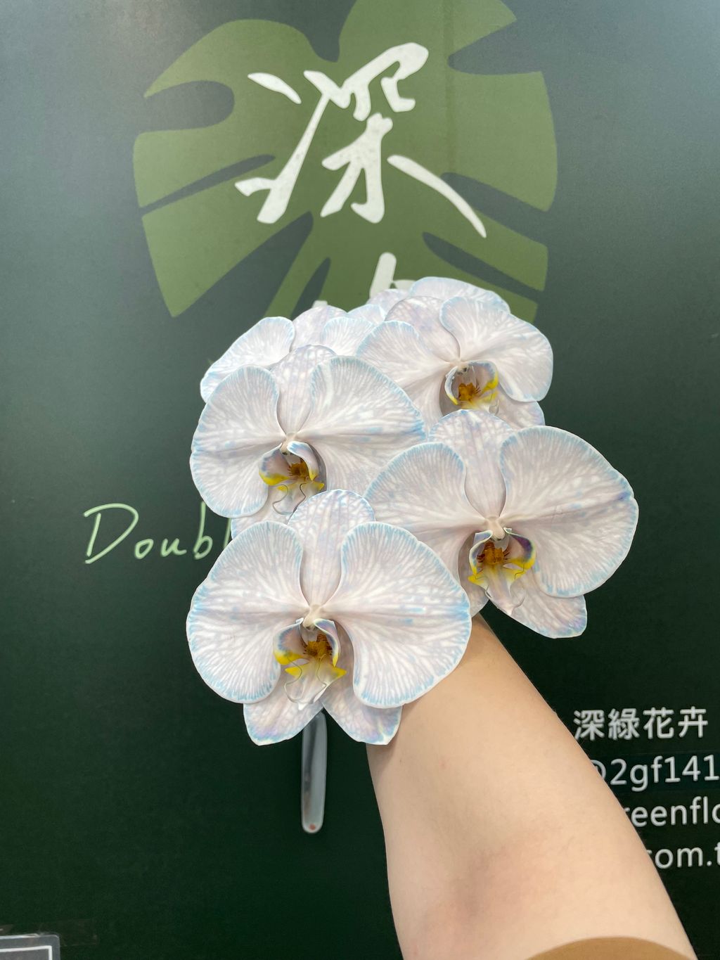 image_110F3FB1-726E-4DBE-8D24-E90EBE2195A6_1778640627