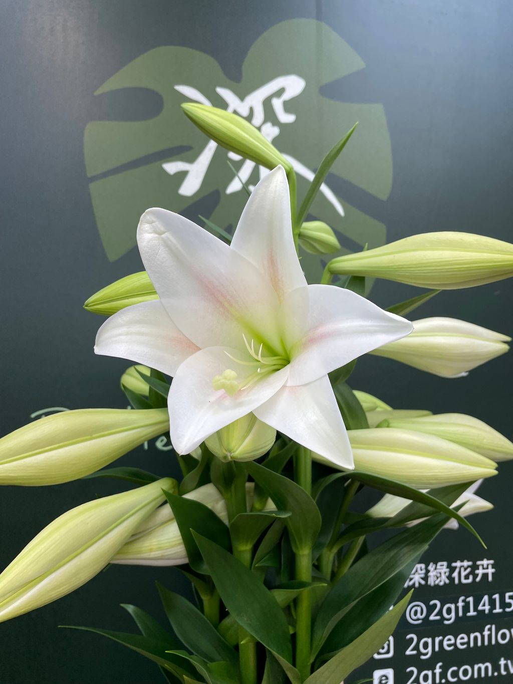 image_8D33BF10-D638-4958-B912-794090CABC3F_1778642058