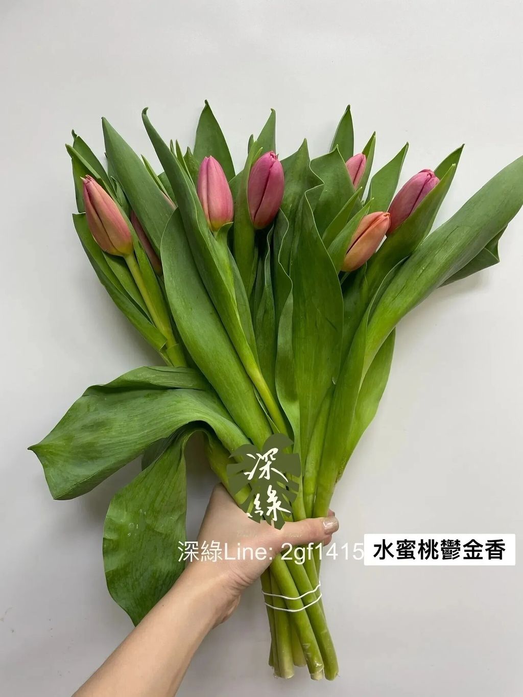 messageImage_1778644858216