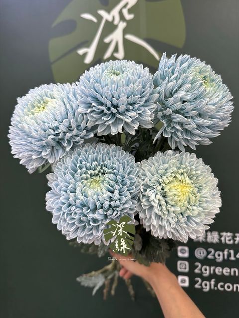 image_594562E7-2F09-47E1-981C-40860EA0D979_1778645139