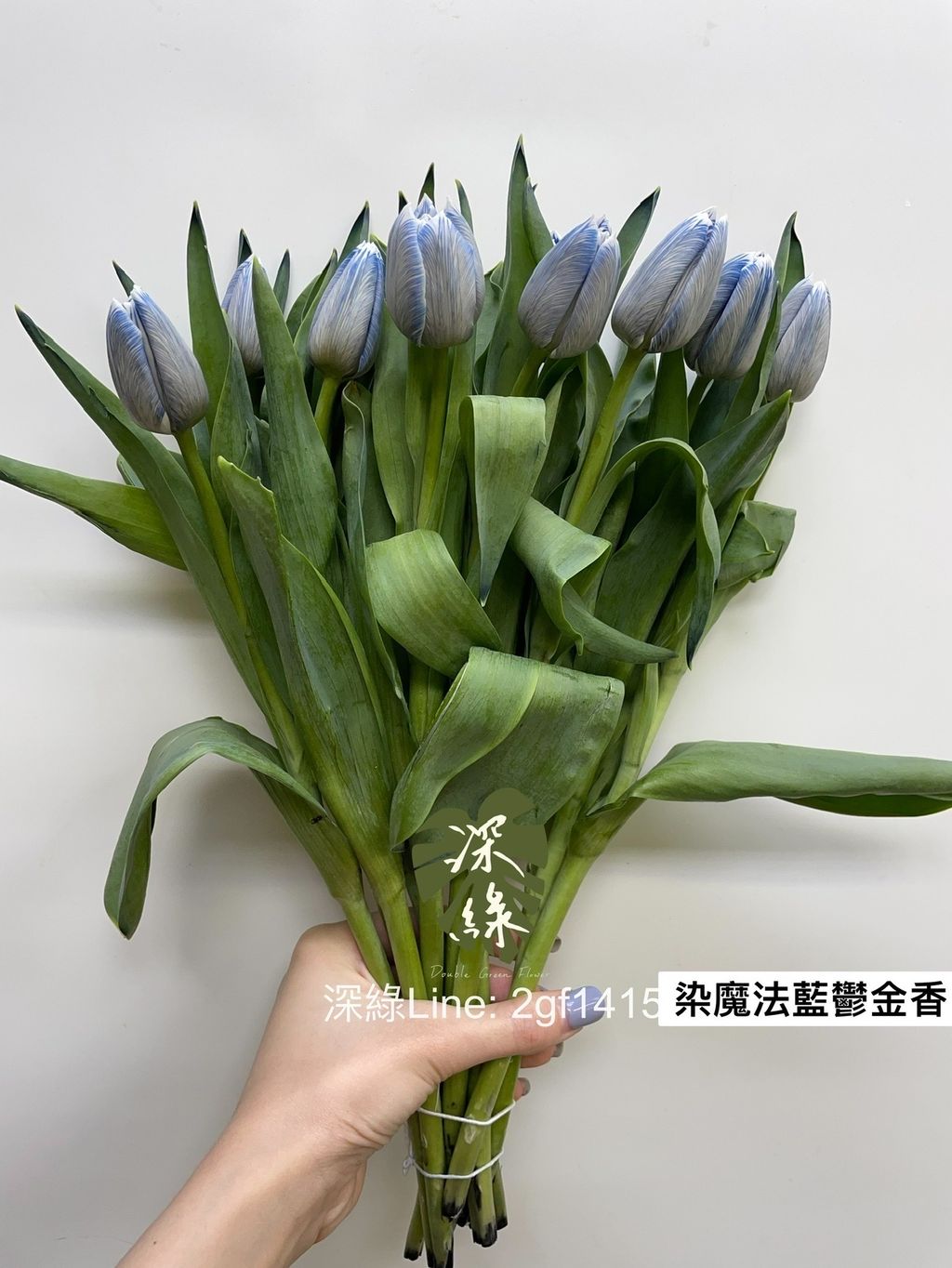 F296C6EF-FB6B-4561-B1A2-A110BAA297EC