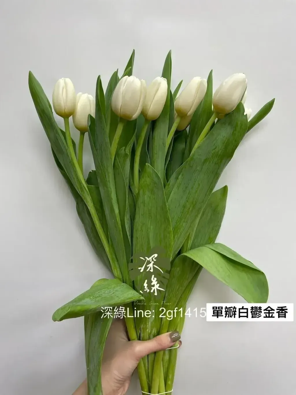 103789457