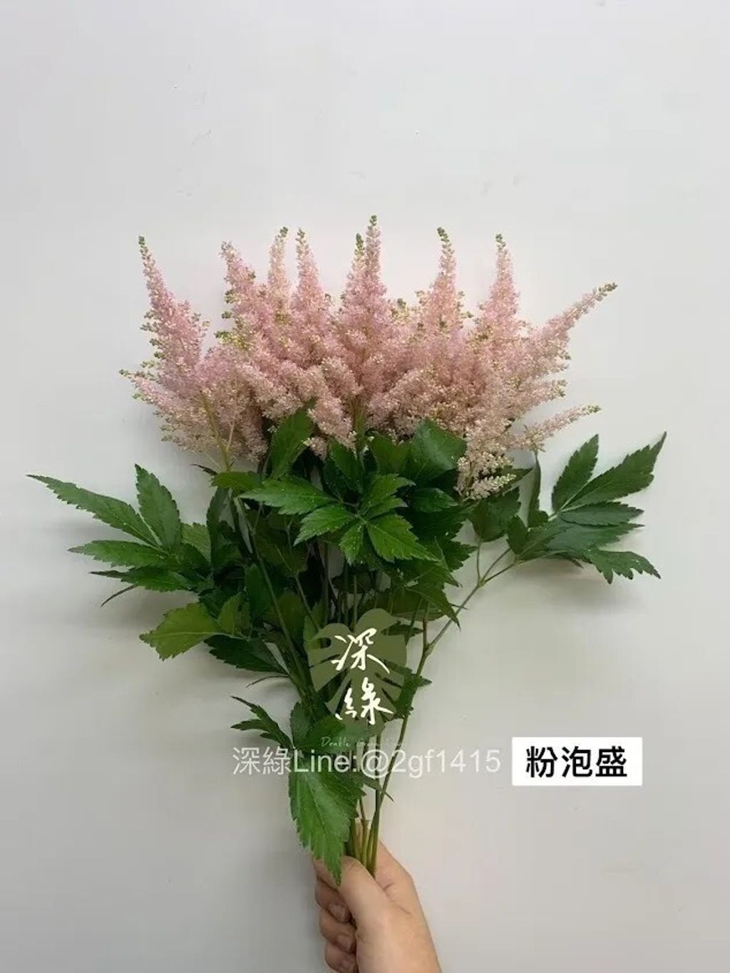 messageImage_1778646111819
