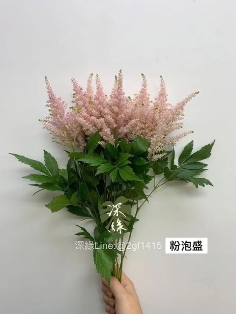 messageImage_1778646111819