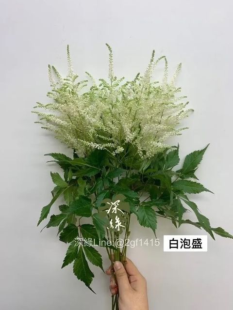 messageImage_1778646096630
