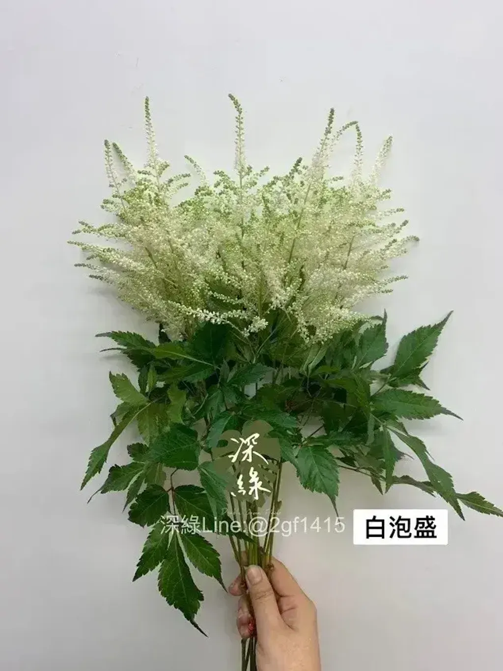 messageImage_1778646096630