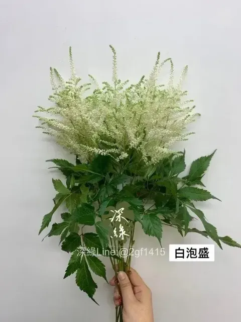 messageImage_1778646096630