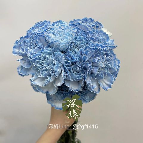 image_72FBDD2E-D342-45CB-BE6B-3459A4F9E45D_1778650369