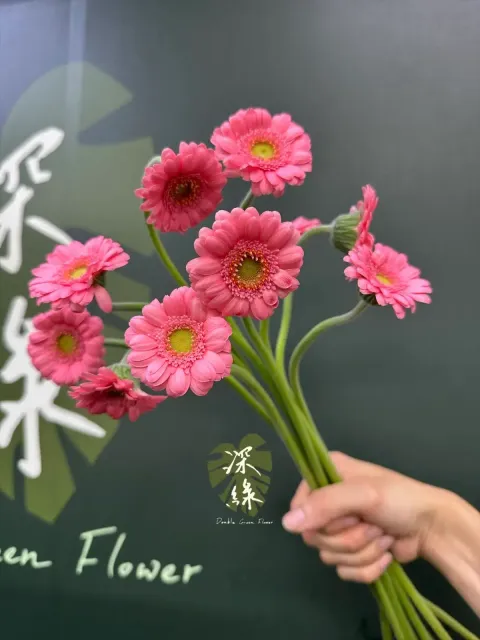 image_DB6502E9-9E9E-4503-A311-7E2ECE467409_1778133850