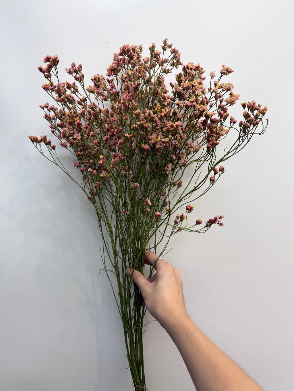 image_8E117AC6-566D-42A7-8EF4-90EC6FDBE9AC_1779332878