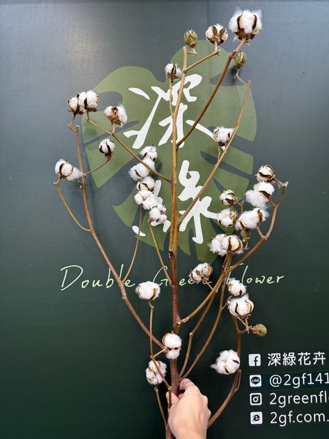 image_1A39CE6B-3072-4C59-A559-1CA3DAD972CE_1779339521