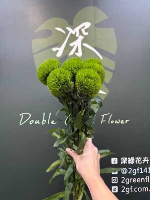 image_7E566BDF-B957-4695-B5EF-C9EA2F8FE9F2_1779339610