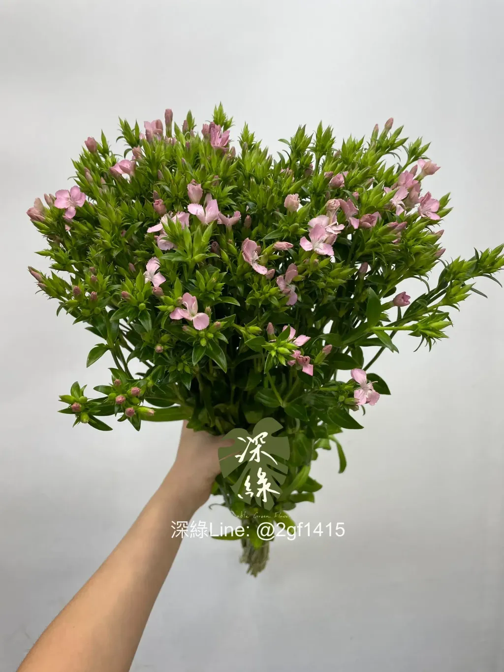 eZy Watermark_01-04-2024_01-24-40-5680下午-1711949204789
