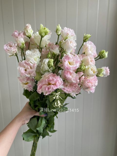 image_38436512-D047-4B77-A292-C5B001A473F1_1779774051