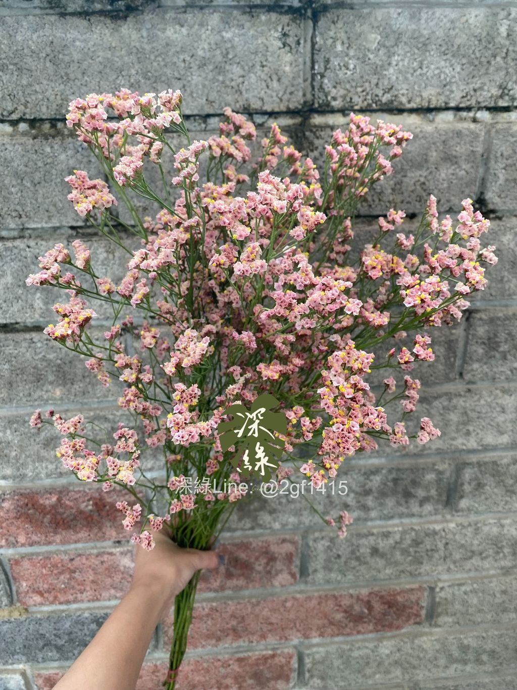 image_07BBE808-31C6-4BC1-9EA6-9360E06CE958_1779774715