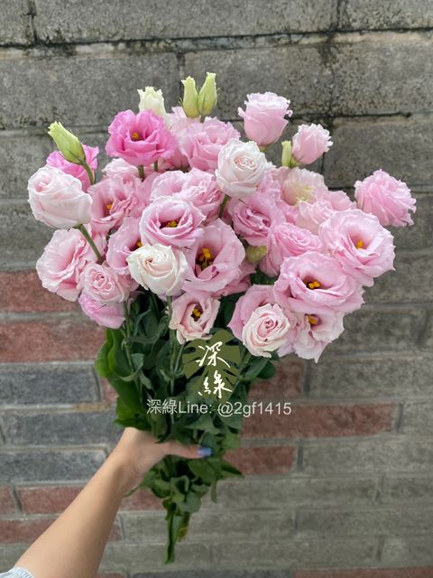image_119E564C-3073-41CC-8E19-2946B3035503_1779774822