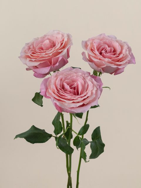 messageImage_1779867325821