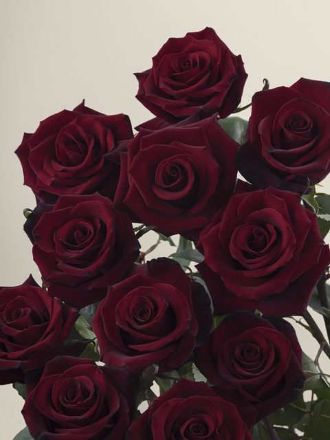 messageImage_1779867530789