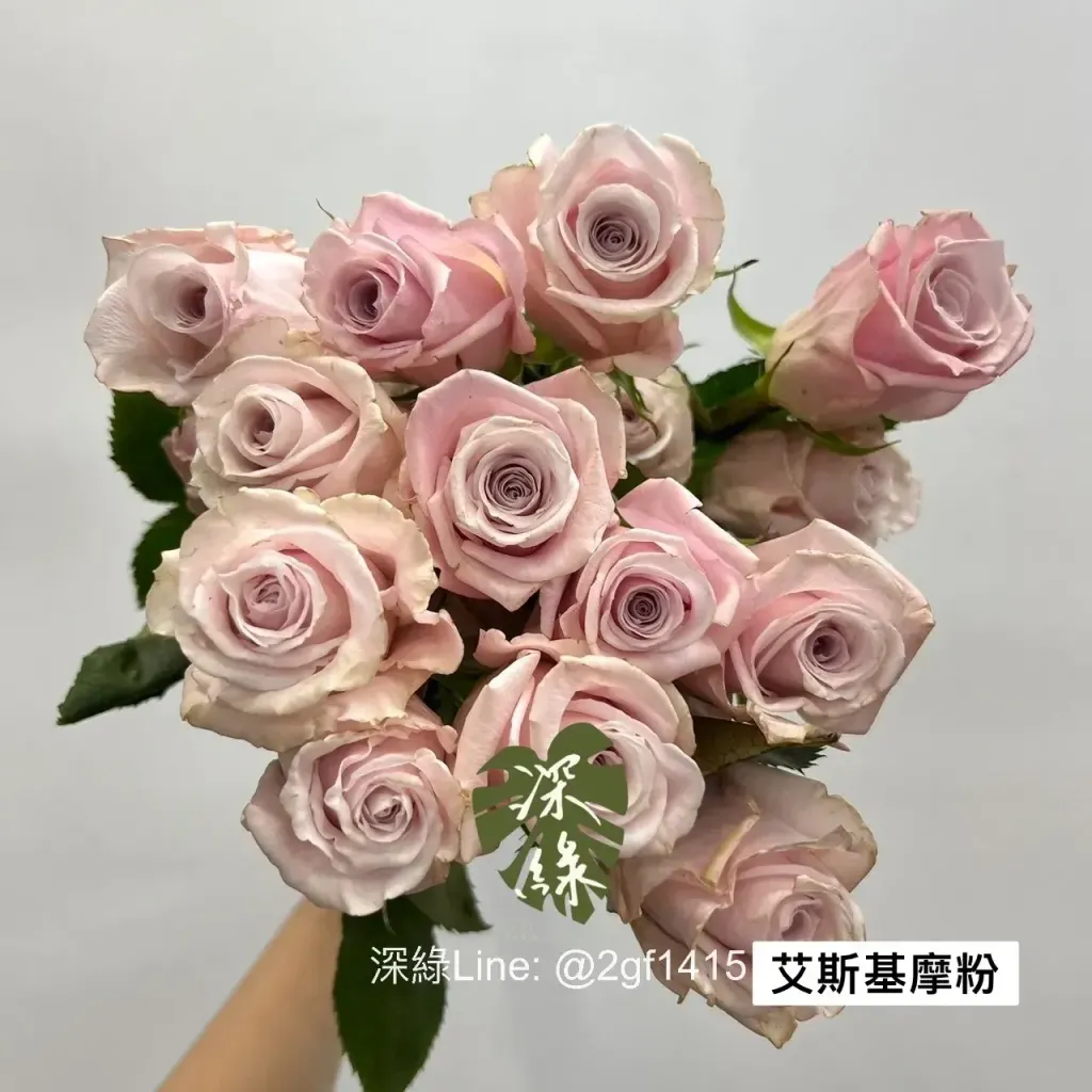 S__1343531