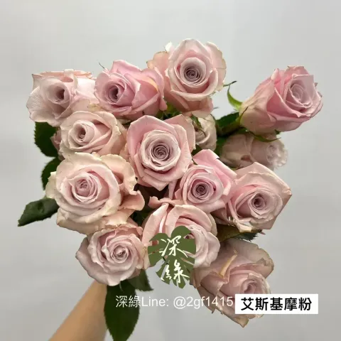 S__1343531