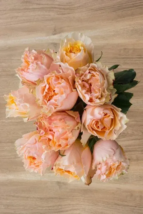 messageImage_1779880518328