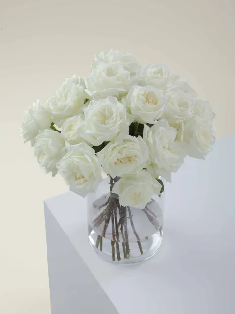 messageImage_1779868023739