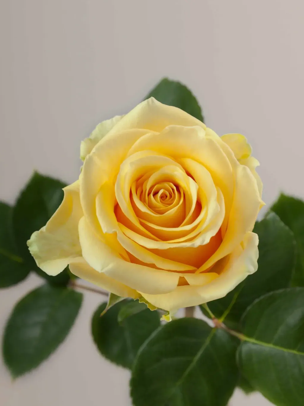 messageImage_1779868418860
