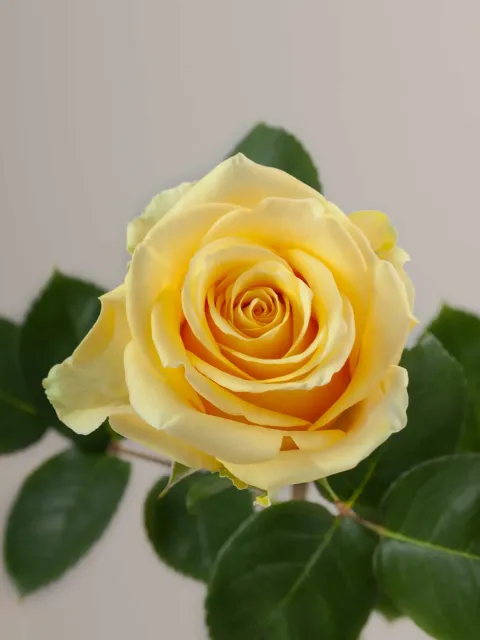 messageImage_1779868418860