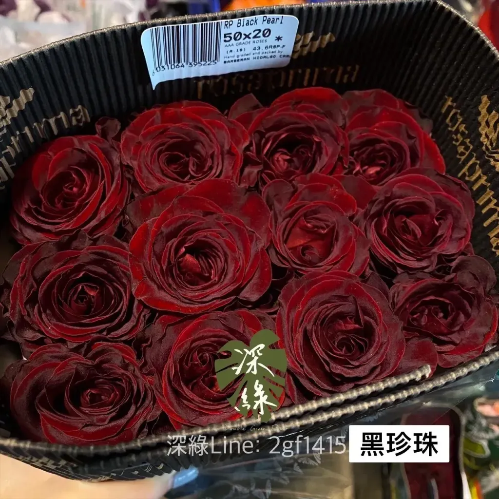 image_561A84E0-44B7-407C-B353-AE8994CF489A_1749352531