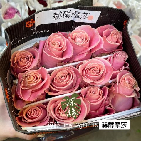 messageImage_1779886130730