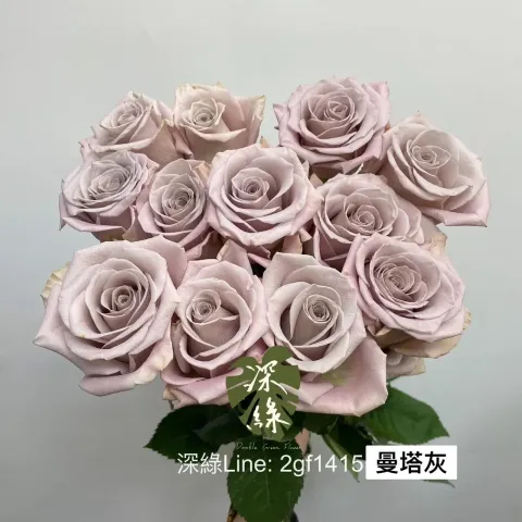 11586350