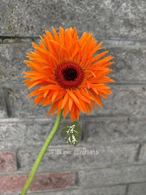 messageImage_1780203788062
