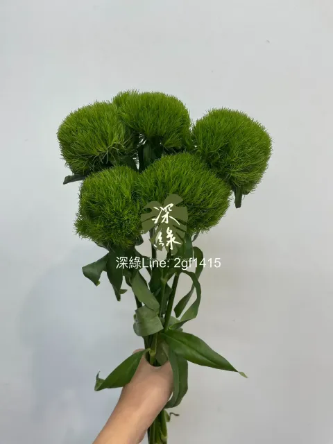 eZy Watermark_20-12-2024_10-40-57-4230上午-1734662466782