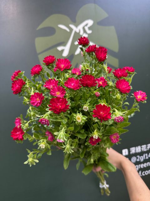 image_FC532962-2748-4CF5-9534-1DE9F0048A63_1780376574